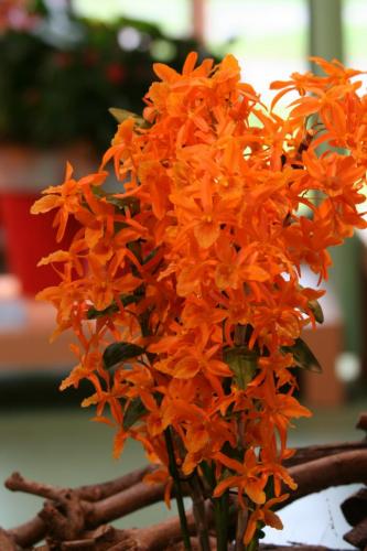 IMG 5544 resize
