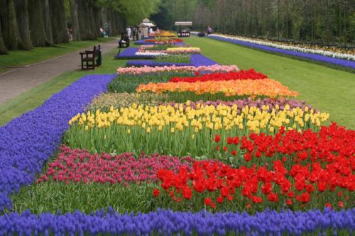 Netherlands