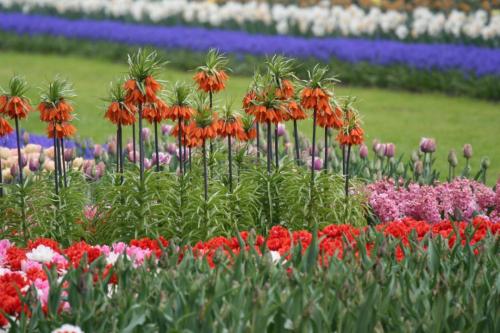 IMG 5563 resize