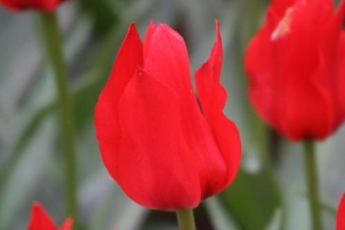 IMG 5578 resize