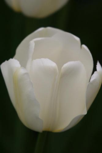 IMG 5579 resize