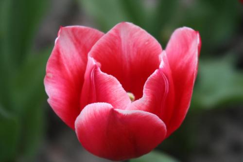 IMG 5581 resize