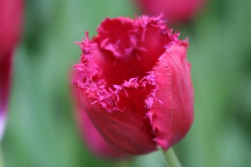 IMG 5582 resize