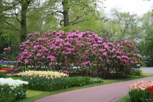 IMG 5600 resize