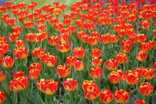 IMG 5613 resize