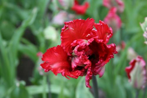 IMG 5614 resize
