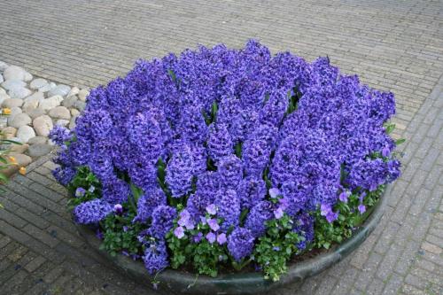 IMG 5641 resize