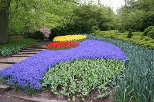 IMG 5642 resize
