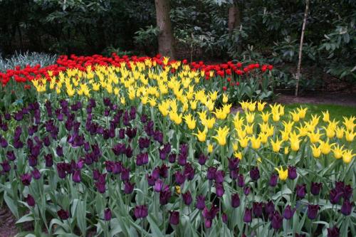 IMG 5649 resize
