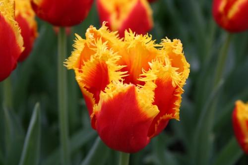 IMG 5653 resize