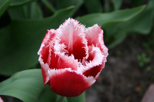 IMG 5654 resize