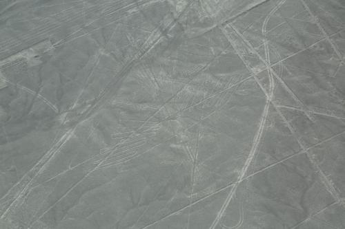 IMG 15062 resize