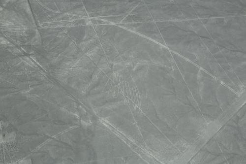 IMG 15063 resize