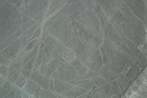 IMG 15072 resize