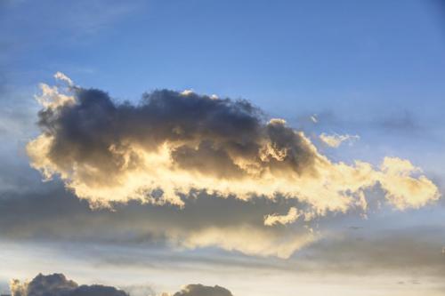 IMG 13286 resize