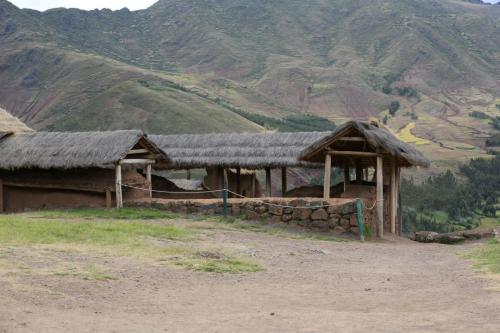IMG 13118 resize