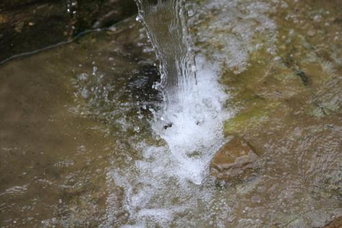 IMG 12529 resize