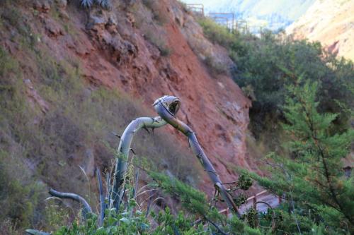 IMG 12626 resize