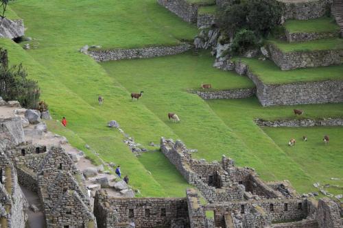 IMG 12152 resize