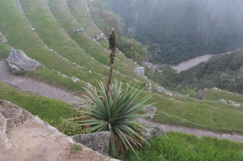 IMG 12200 resize