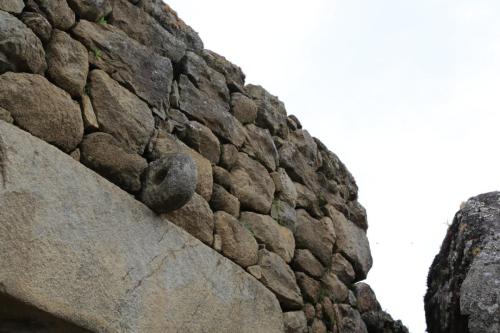 IMG 12284 resize