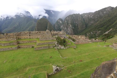 IMG 12356 resize