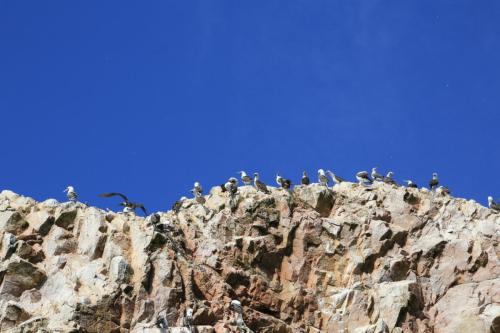 IMG 14312 resize