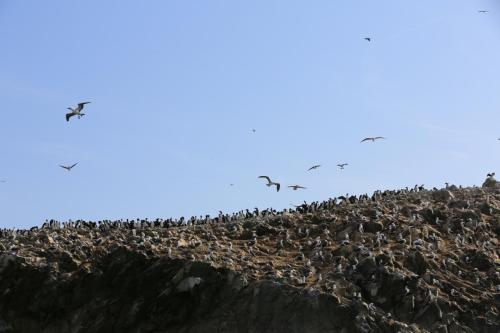 IMG 14314 resize