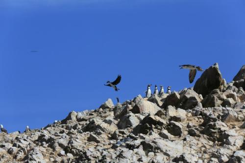 IMG 14323 resize