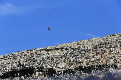 IMG 14344 resize