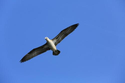IMG 14347 resize