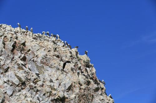 IMG 14365 resize