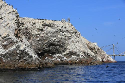 IMG 14367 resize