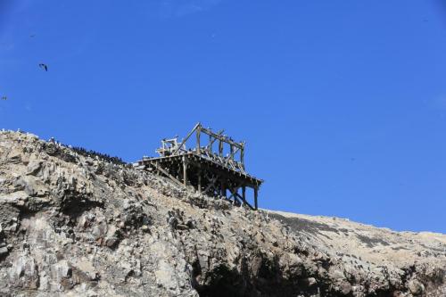 IMG 14373 resize