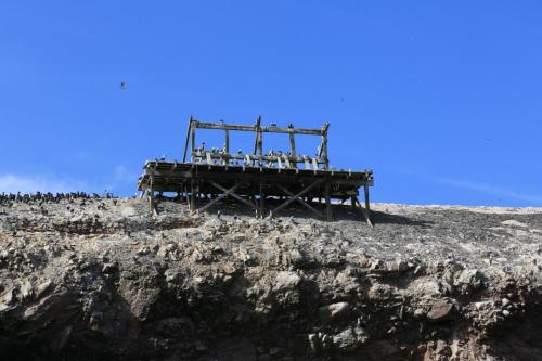 IMG 14381 resize