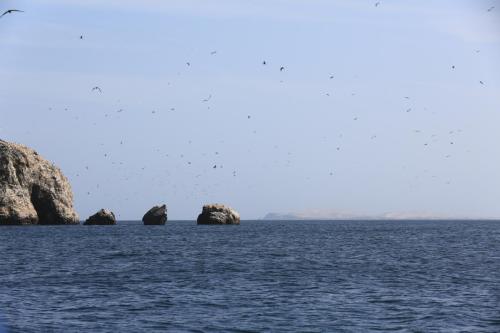 IMG 14382 resize