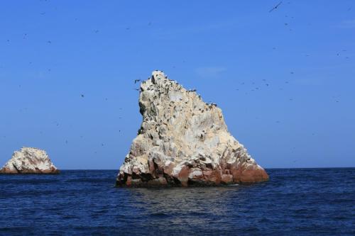 IMG 14407 resize