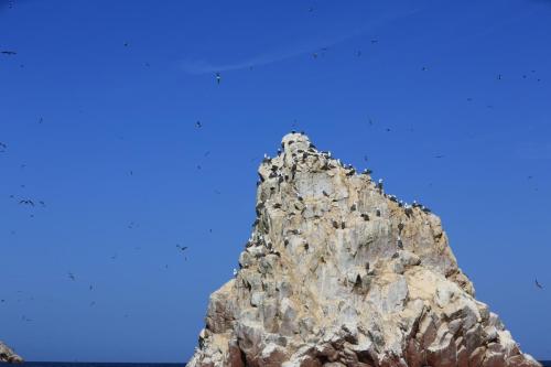 IMG 14414 resize
