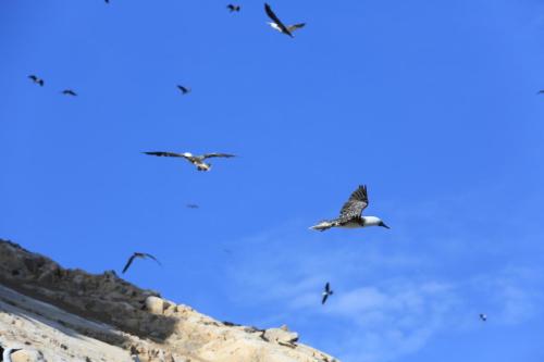 IMG 14442 resize