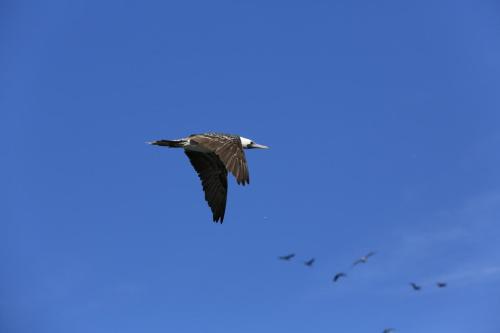 IMG 14444 resize
