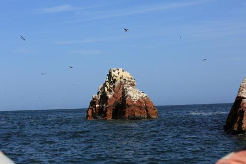 IMG 14513 resize