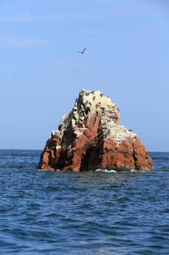 IMG 14524 resize