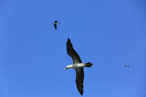 IMG 14552 resize