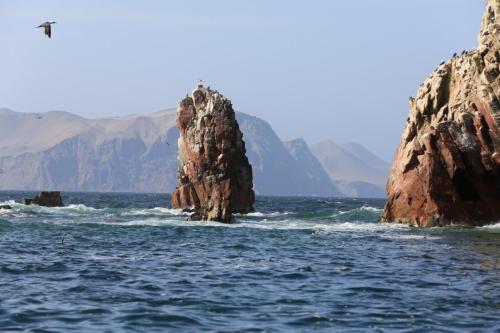 IMG 14562 resize