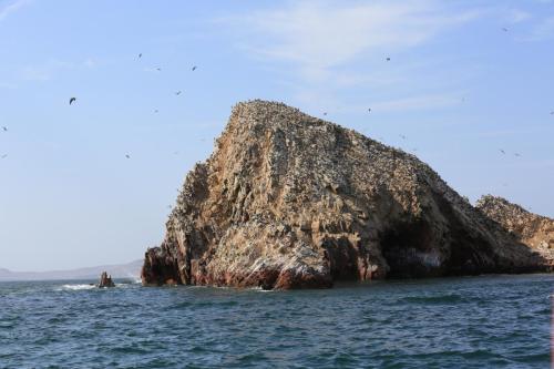IMG 14592 resize