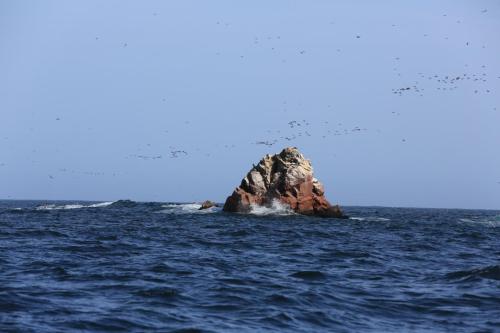 IMG 14644 resize