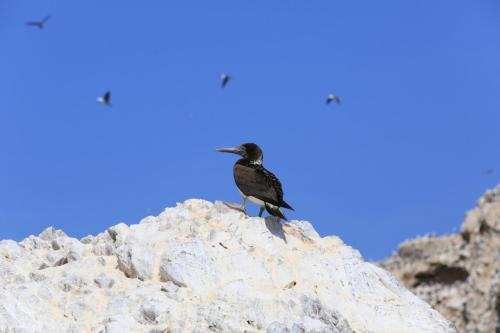 IMG 14821 resize