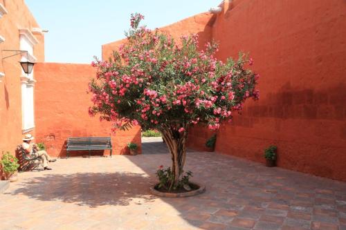 IMG 14117 resize