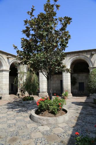 IMG 14125 resize