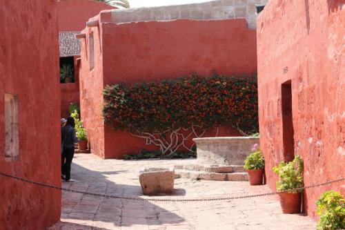IMG 14186 resize